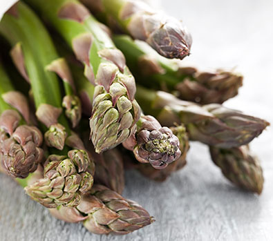 The top portion of a bundle of Jersey Knight Asparagus resting on a wooden surface