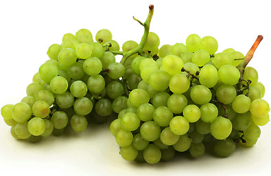 two clusters of Grape 'Niagara' with a white background