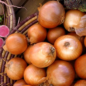 a basket of Yellow Stuttgarter onions