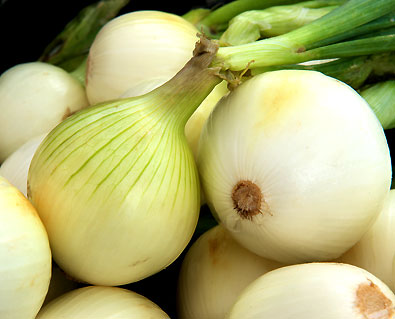 white 'Ebenezer' onions with green tops