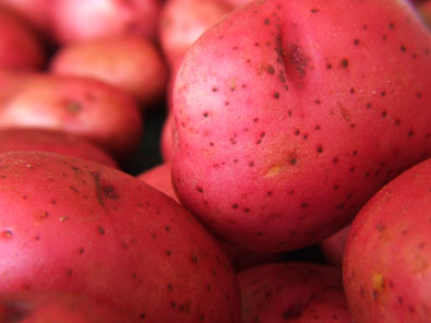 close up image of the skin on a few Red Norland potatoes