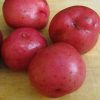 four Red Norland potatoes on a wooden surface