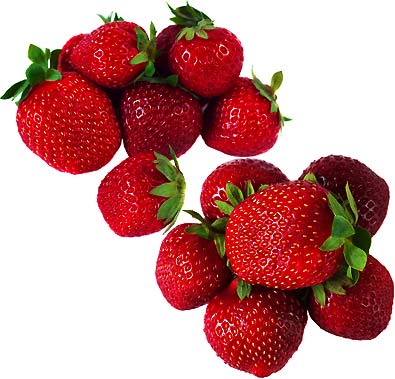 two small piles of 'Honeoye' strawberries with a white background