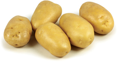 five 'Yukon Gold' potatoes with a white background