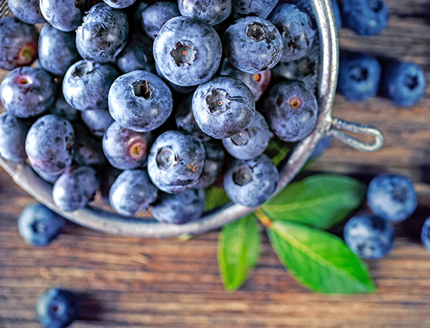 strainer full of Blueberry 'Misty' berries