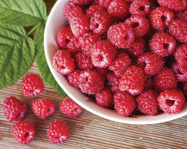 harvested 'Canby' raspberries in a white bowl on a wooden surface