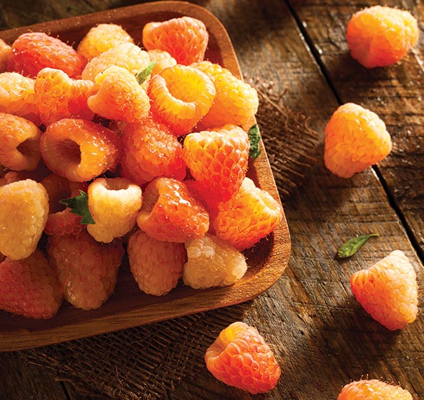 harvested 'Fall Gold' raspberries in a square wooden bowl on a wooden surface
