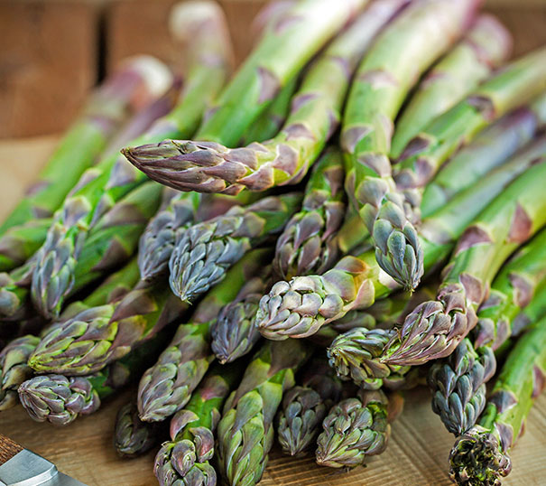 A vibrant green bundle of Jersey Giant asparagus on a table