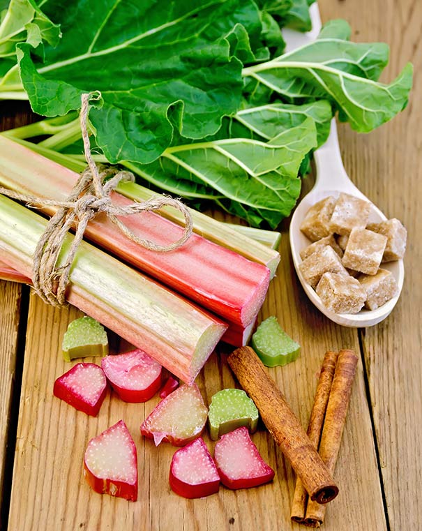 a bundle of harvested Rhubarb Victoria tied with twine on a wooden surface with rhubarb leaves and cinnamon sticks