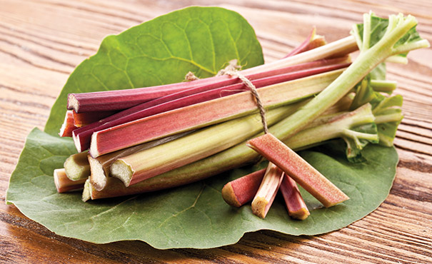 a bundle of harvested Rhubarb Victoria tied with twine on a rhubarb leaf on a wooden surface