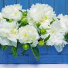 a blue weaved square basket filled with white 'Shirley Temple' peony stems