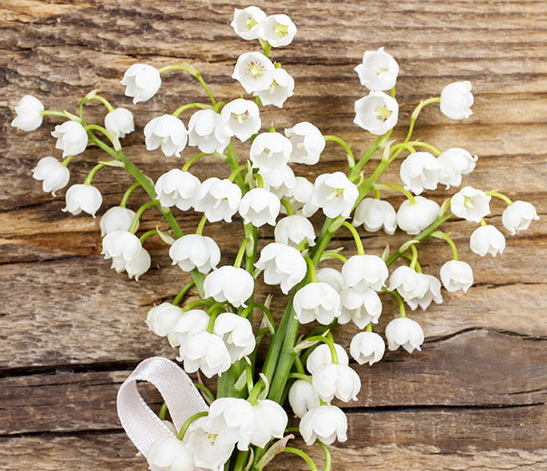 a small bouquet of Lily of the Valley tied with a ribbon on a wooden surface