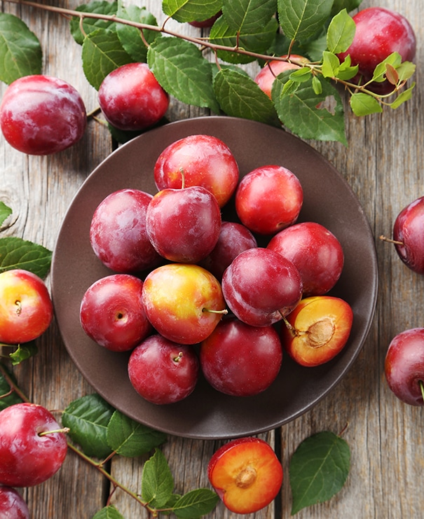A bowl of 'Bruce' plums