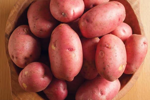 Potato, 'Red Norland' - DeGroot