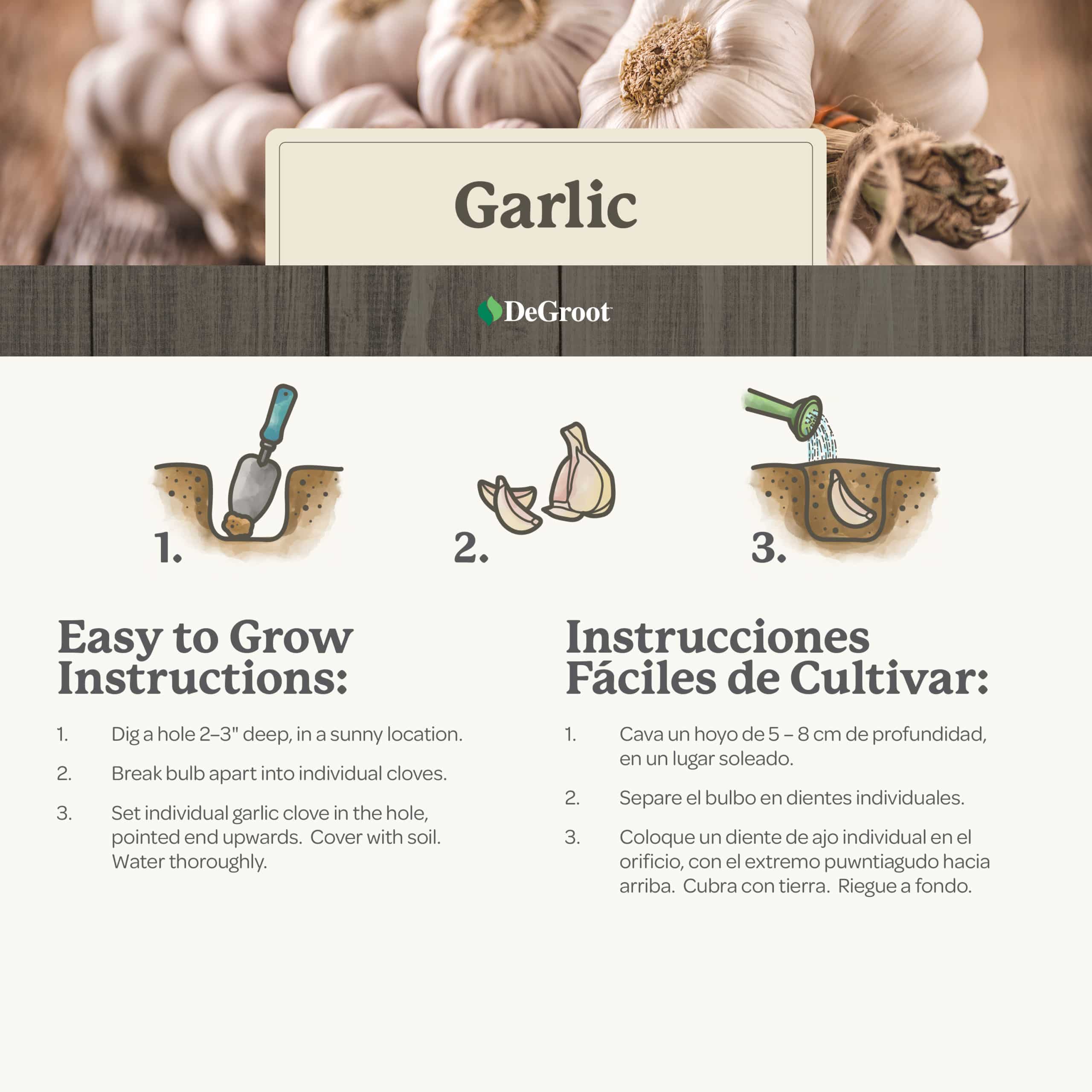 An Scientific Approach of Design and Development of a Garlic