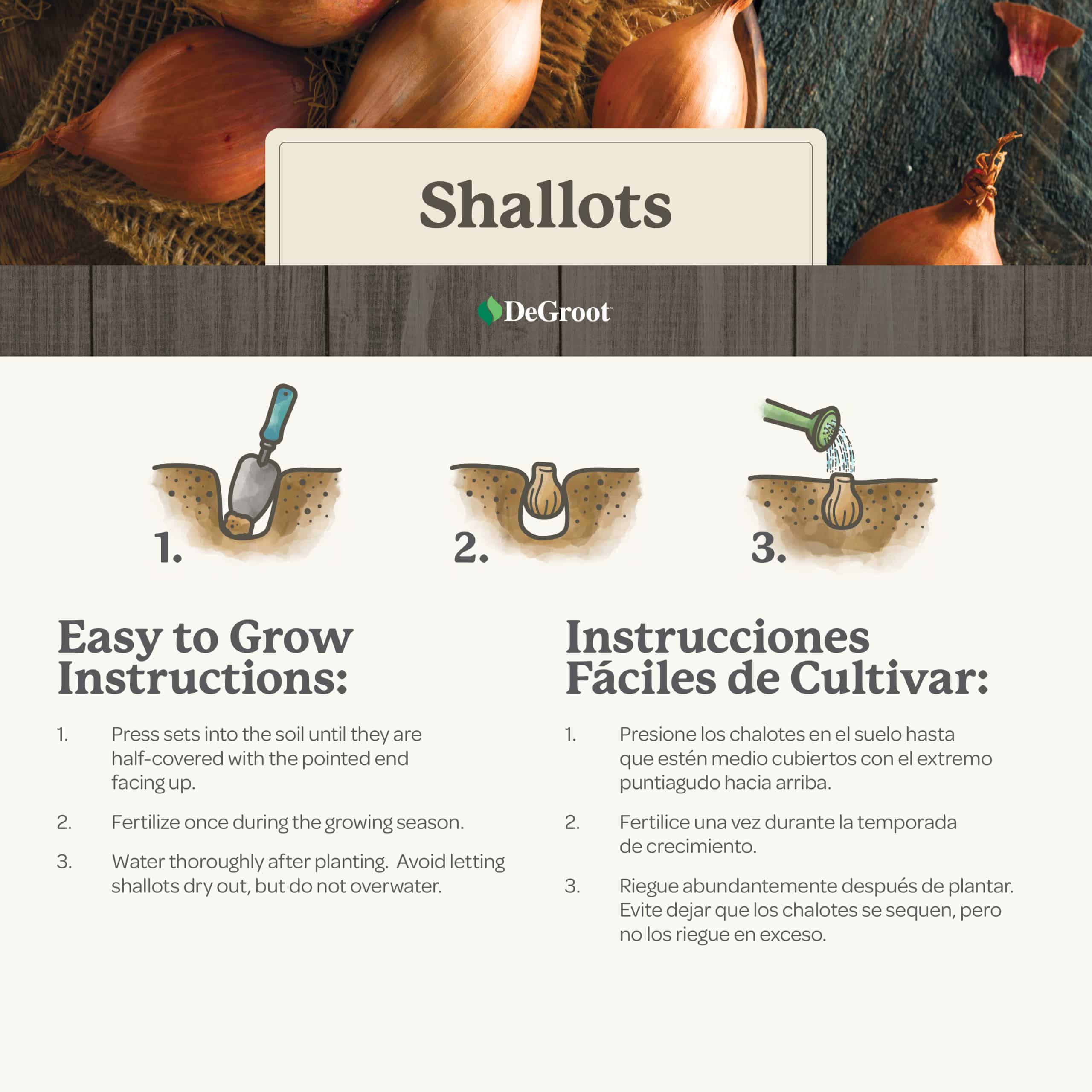 Growing Guide: Shallots - SeedSavers