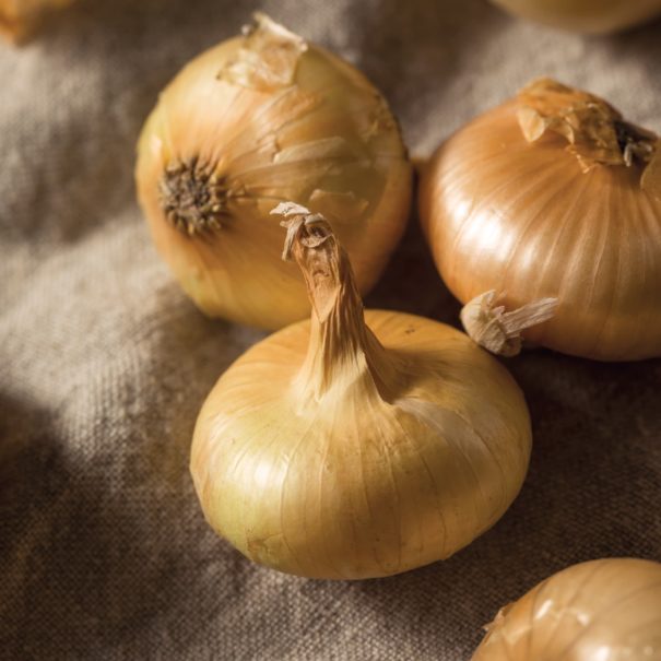 Sweet Golden Cipollini onions on a linen tablecloth