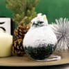 Green Waxed Amaryllis on a decorated table with pinecones and candle
