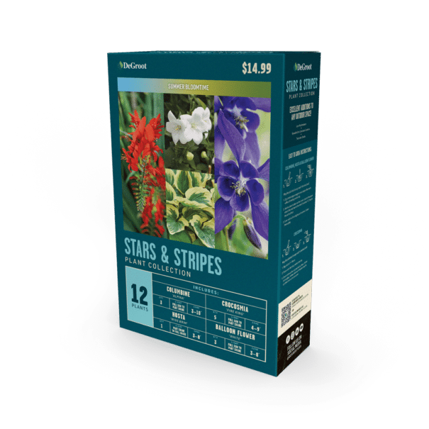 'Stars & Stripes' Premium Plant Collection Package