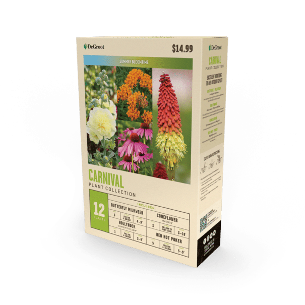 'Carnival' Premium Plant Collection Package