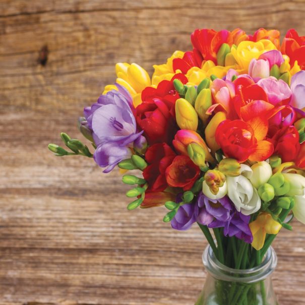 Freesia bouquet with a medium wood background