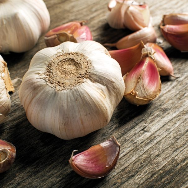 Close-up view of the bottom of a garlic bulb, with other garlic cloves on the wooden table surrounding it