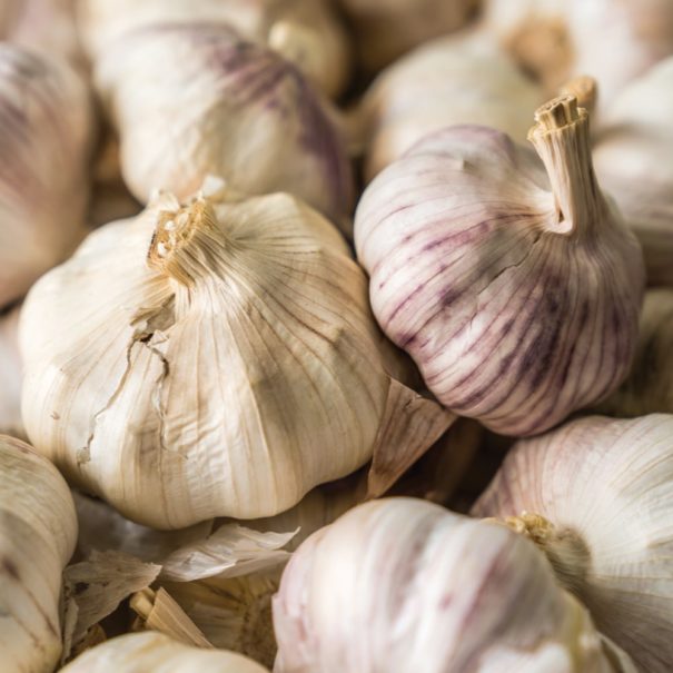 Pile of garlic, soft focus, two garlic bulbs in focus