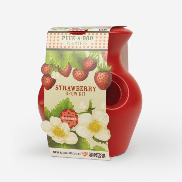 3/4 view of a Strawberry Grow Kit package. Red pot with four holes on the side and a large hole at the top.