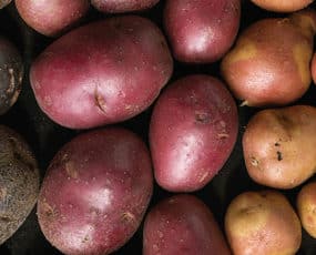 Potatoes