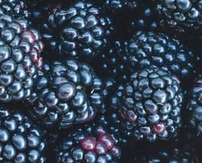 Blackberries