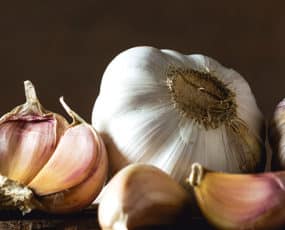 Garlic