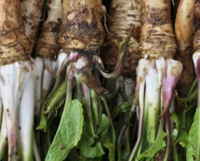 Other Vegetables